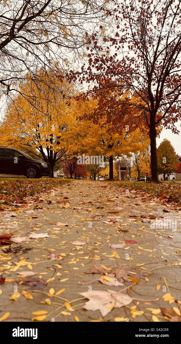 I bei colori dell'autunno 2022. Foto Stock