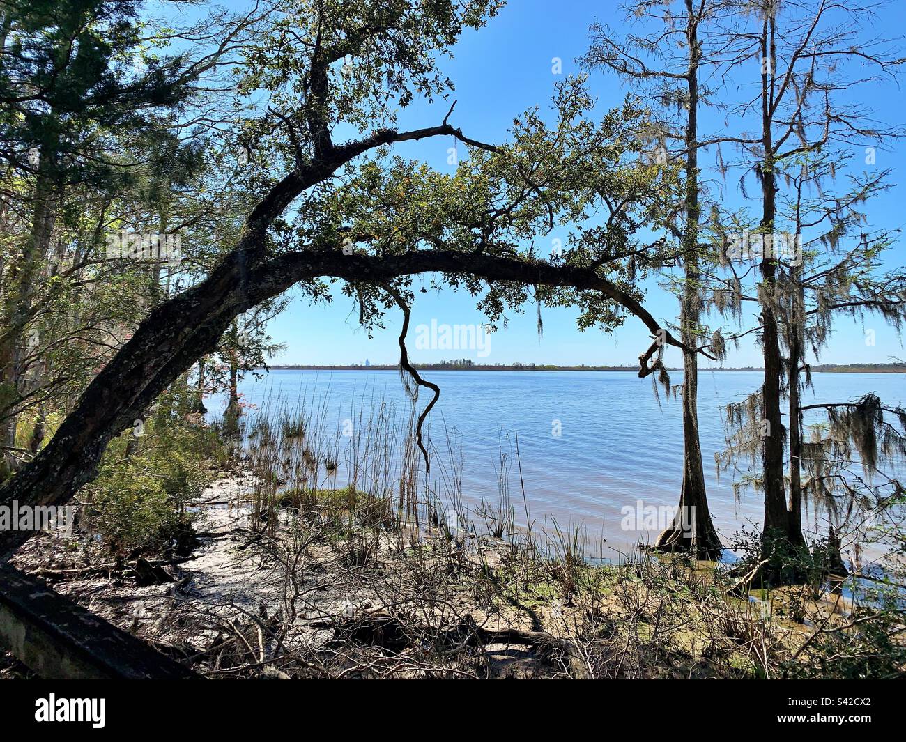 Mobile Bay dal Blakeley state Park a Spanish Fort, Alabama Foto Stock