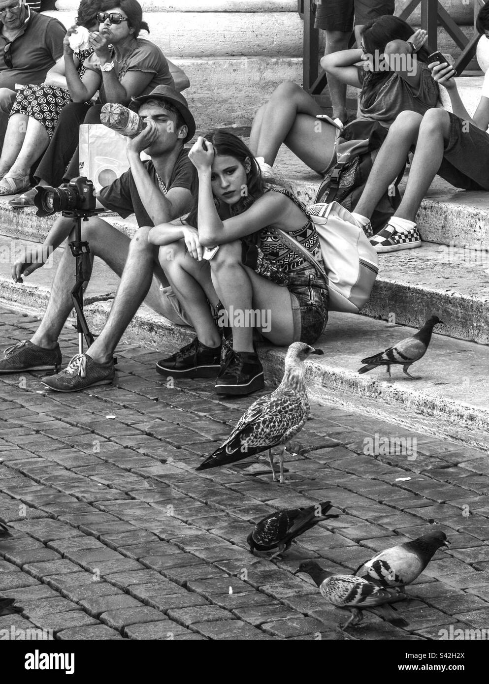 Immagine in bianco e nero di persone sedute su gradini che guardano i piccioni Foto Stock
