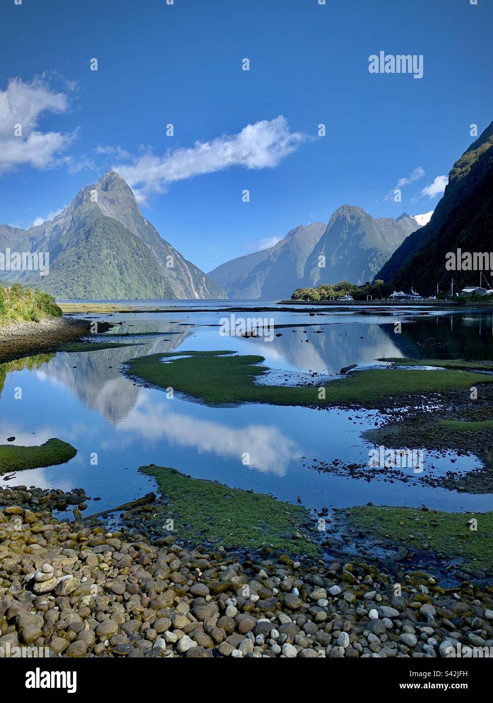Incredibile luce mattutina all'alba e lunghe nuvole bianche sopra Mitre Peak in un tranquillo Milford Sound nell'Isola del Sud della Nuova Zelanda - Immagine stock catturata con smartphone