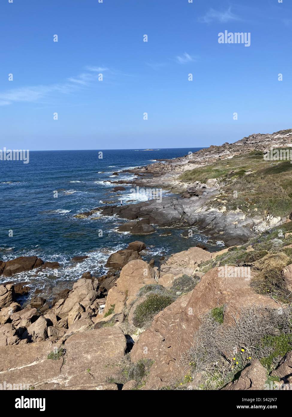 Zaffiro di mare Foto Stock