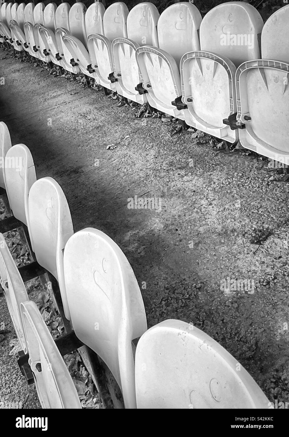 Le foglie autunnali giacciono a terra sotto i sedili in plastica bianca di un campo da calcio semi-professionale. (Bianco e nero) Foto Stock