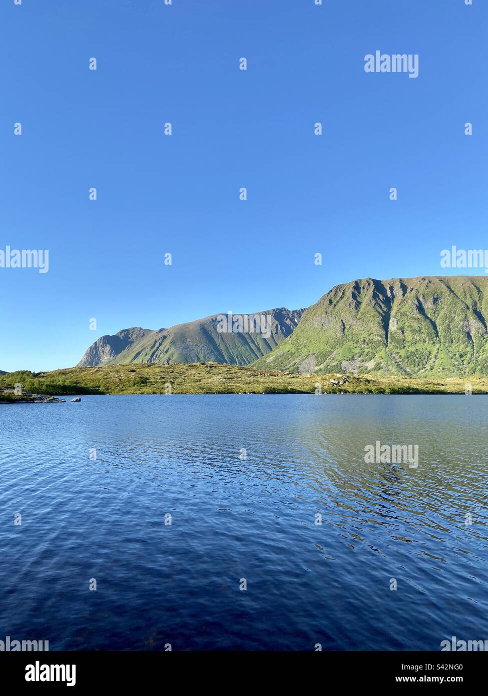 Vista su una tarda serata estiva soleggiato da qualche parte nelle isole Lofoten. - Immagine stock catturata con smartphone