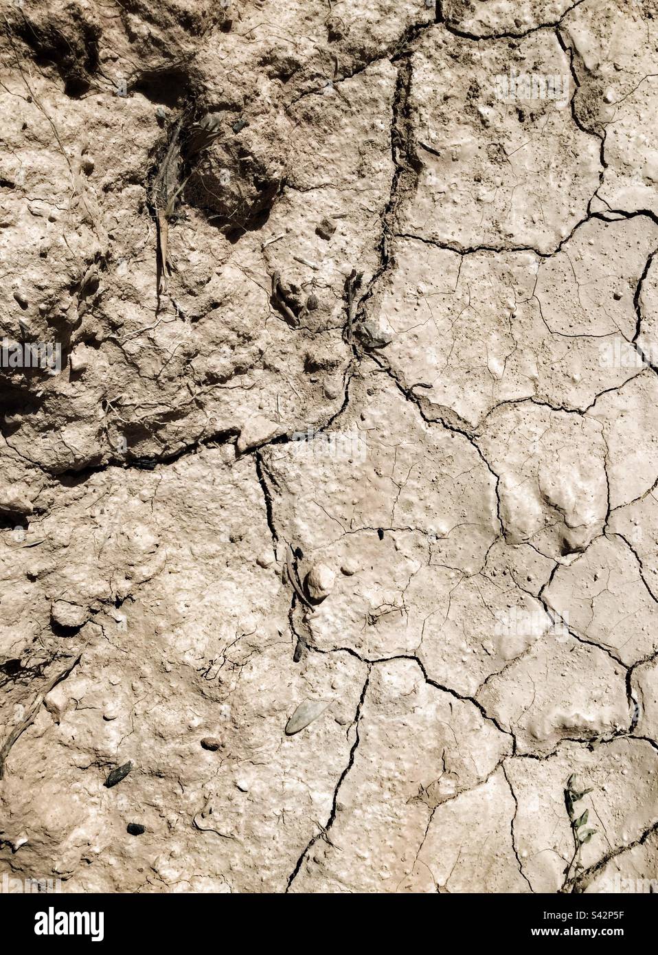Suolo cracked asciutto, Catalogna, Spagna. Foto Stock