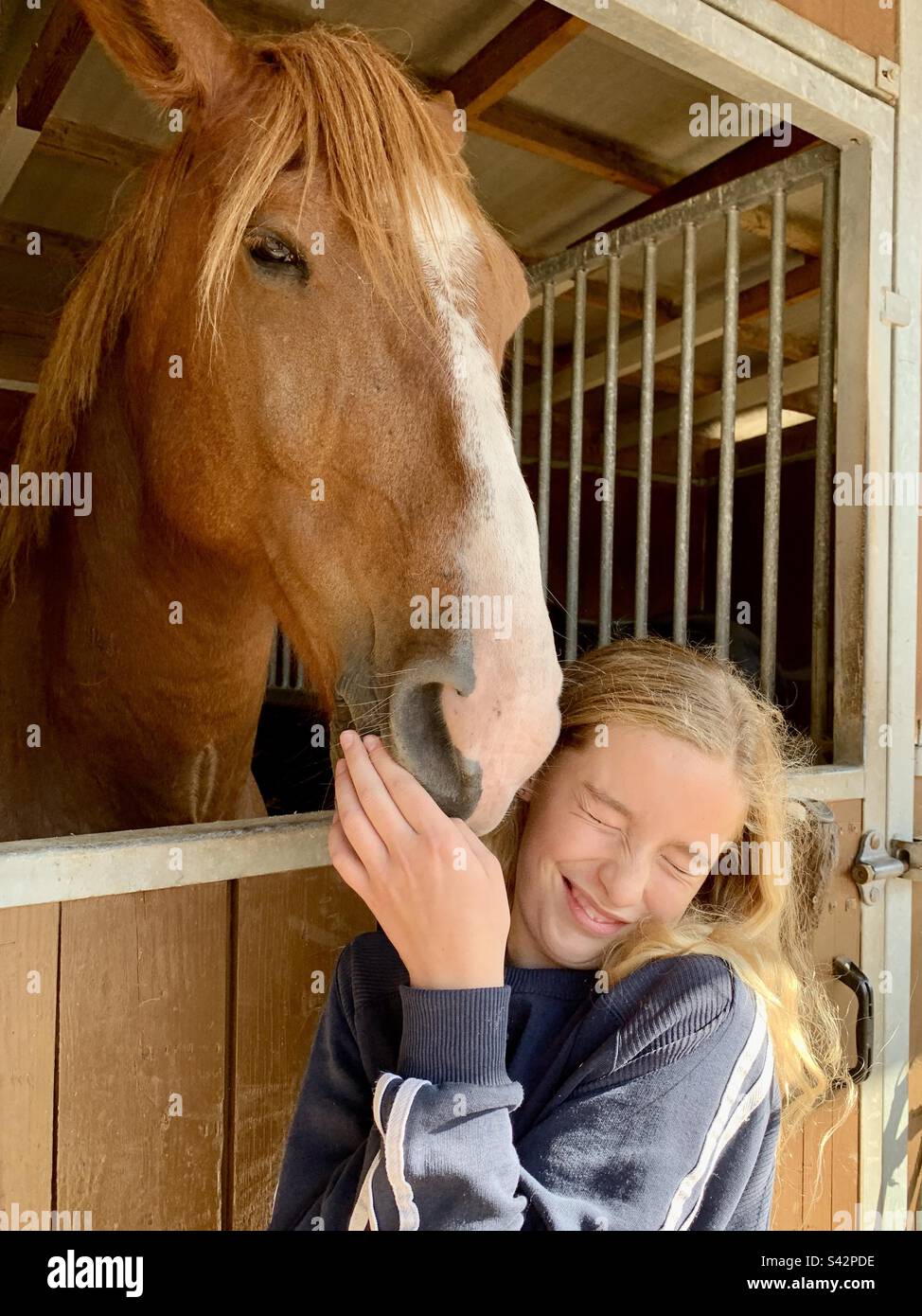 Ragazza figlia adolescente fa un volto divertente in posa con un bel cavallo Foto Stock