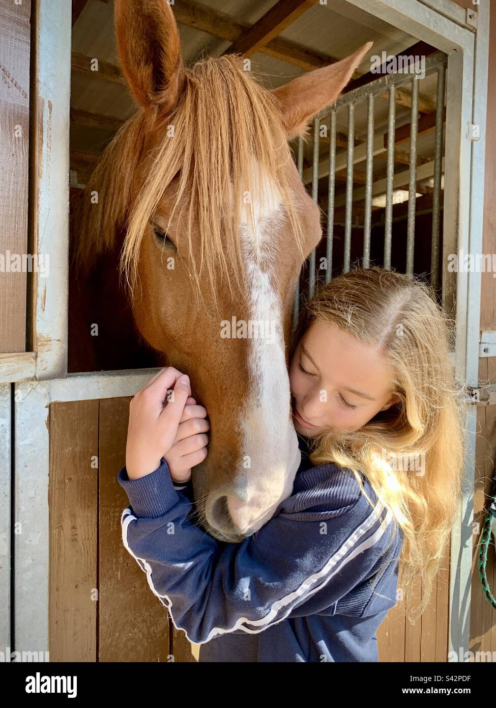 Giovane ragazza adolescente abbraccia un bel cavallo amante degli animali chiusi gli occhi Foto Stock