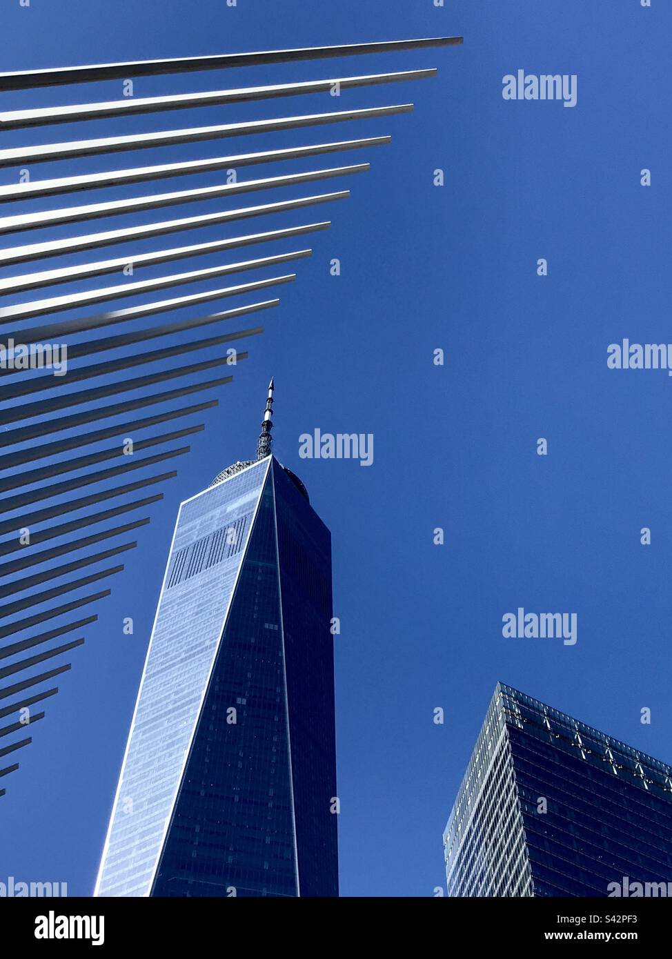 L'Oculo e la Freedom Tower con il cielo blu come sfondo Foto Stock