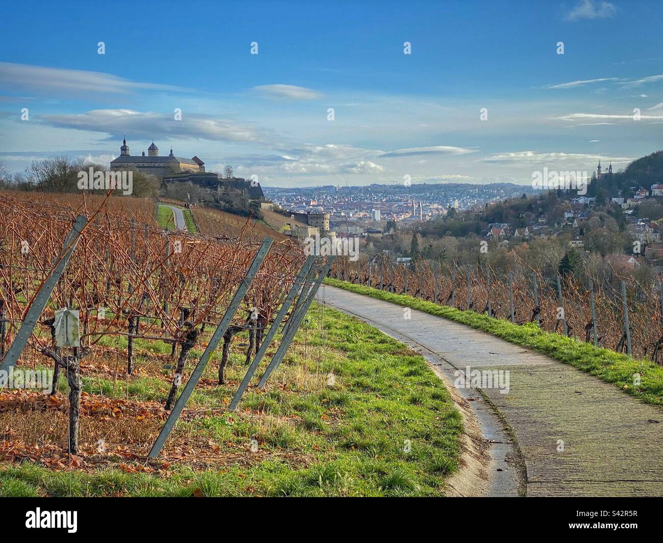 Würzburg vista dalle cantine che circondano la Fortezza di Marienberg, Germania. - Immagine stock catturata con smartphone