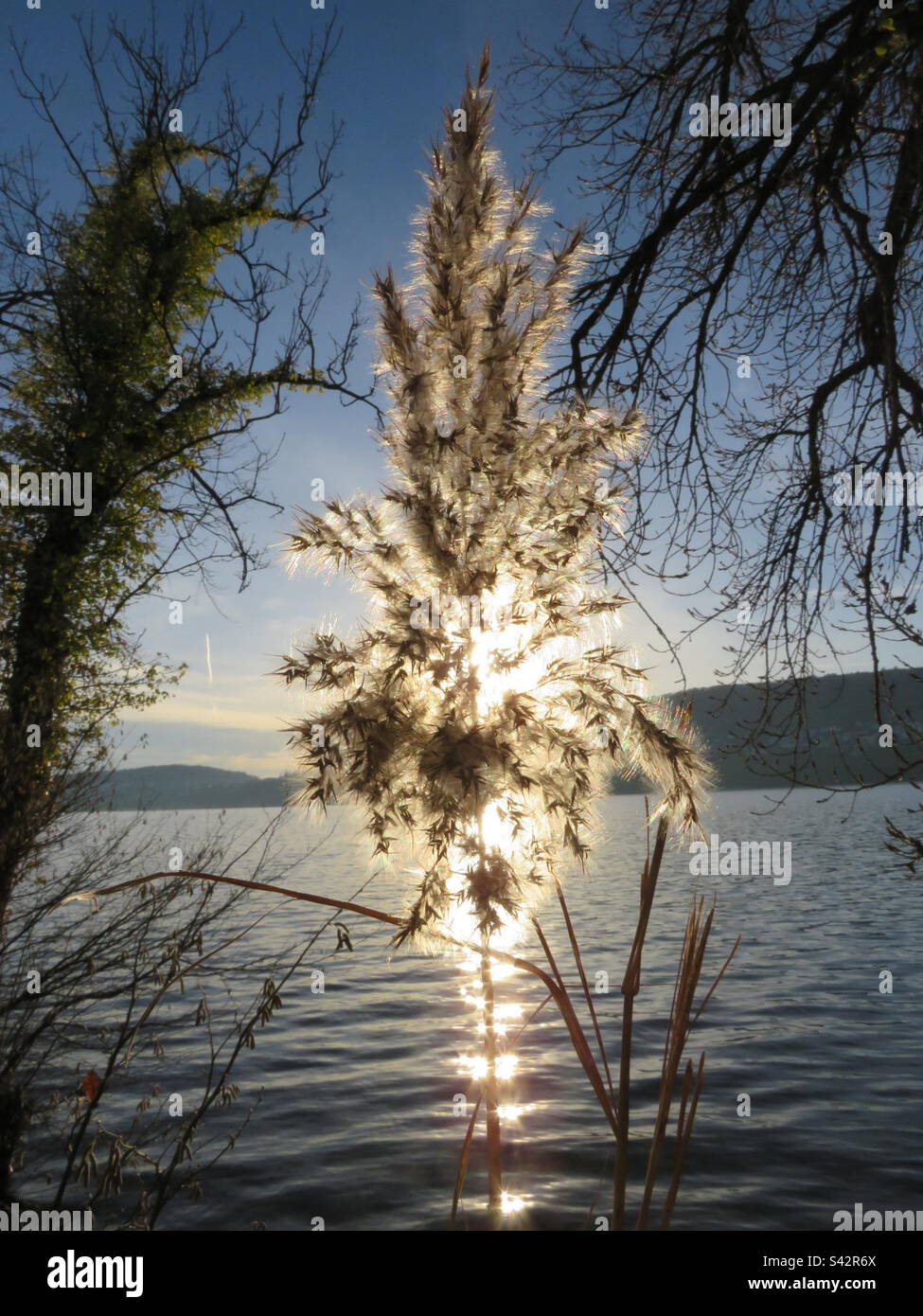 Sole al lago Hallwil! Svizzera! - Immagine stock catturata con smartphone