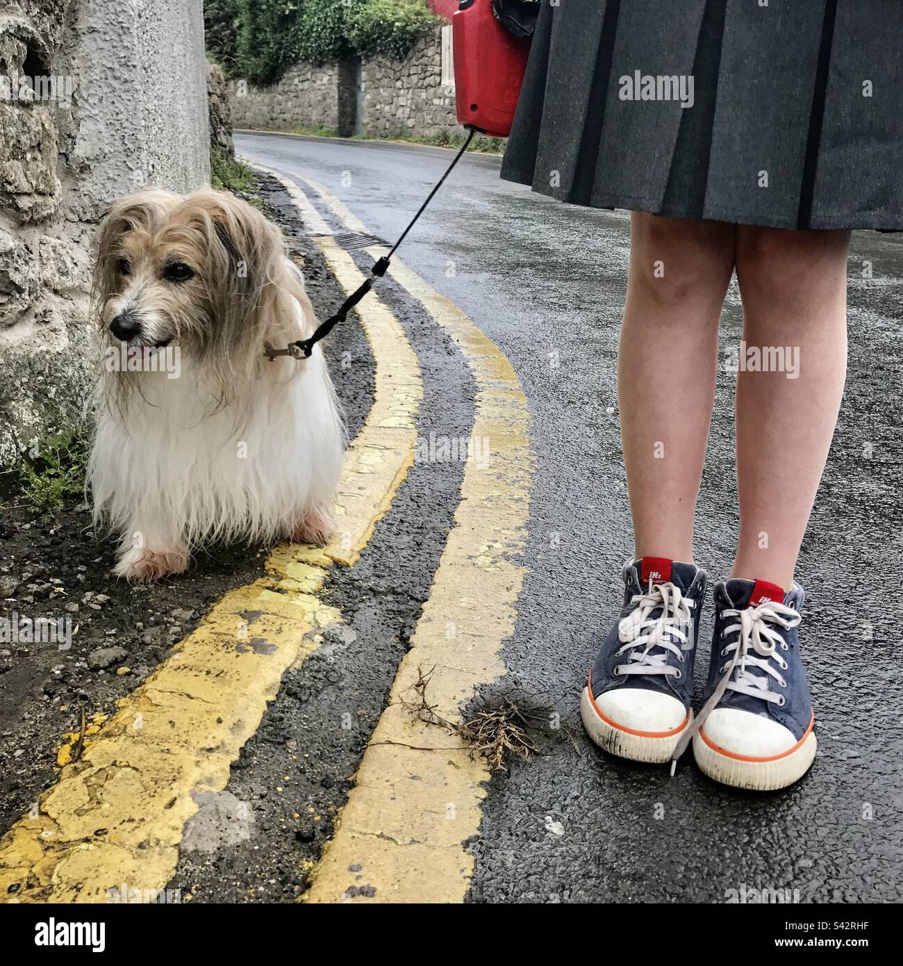 Walkies Time - ragazza giovane adolescente scolastica a piedi un cane carino famiglia su un piombo nella pioggia in un villaggio gallese UK Foto Stock