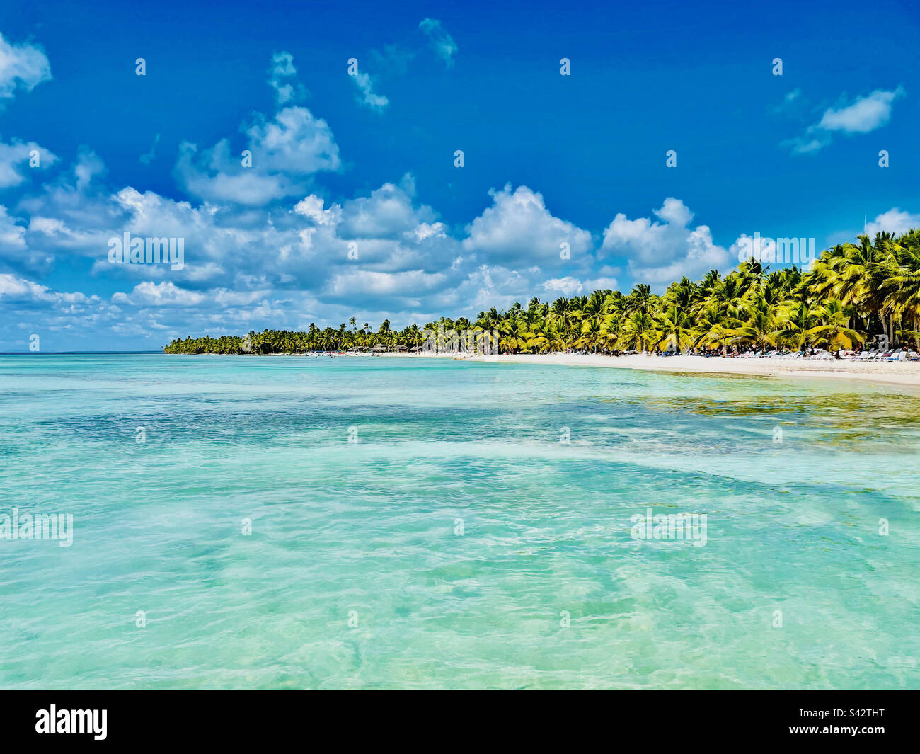 Paradiso della spiaggia caraibica con acqua cristallina blu acqua - Immagine stock catturata con smartphone