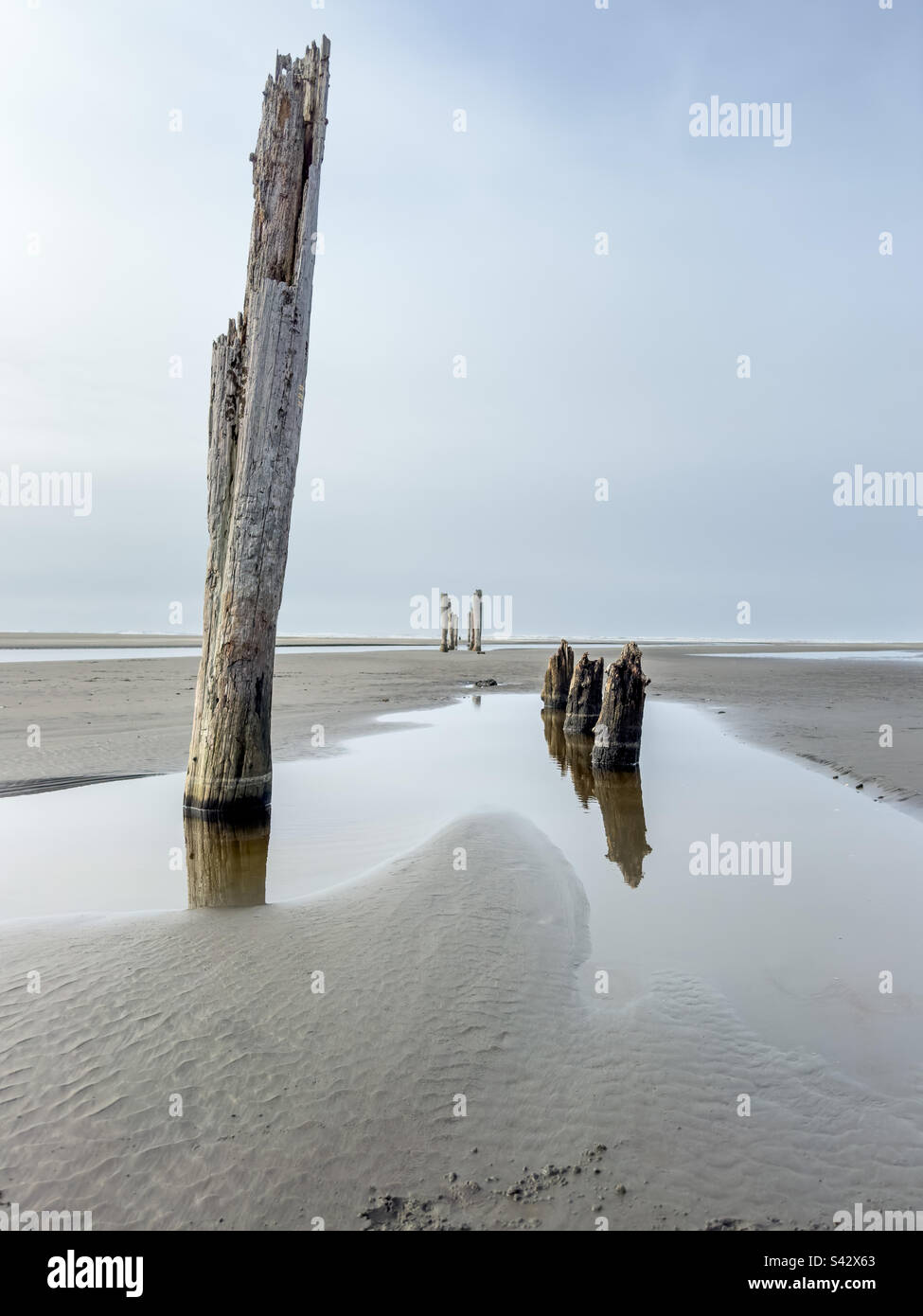 Pali di legno di un molo abbandonato in bassa marea in spiaggia Foto Stock