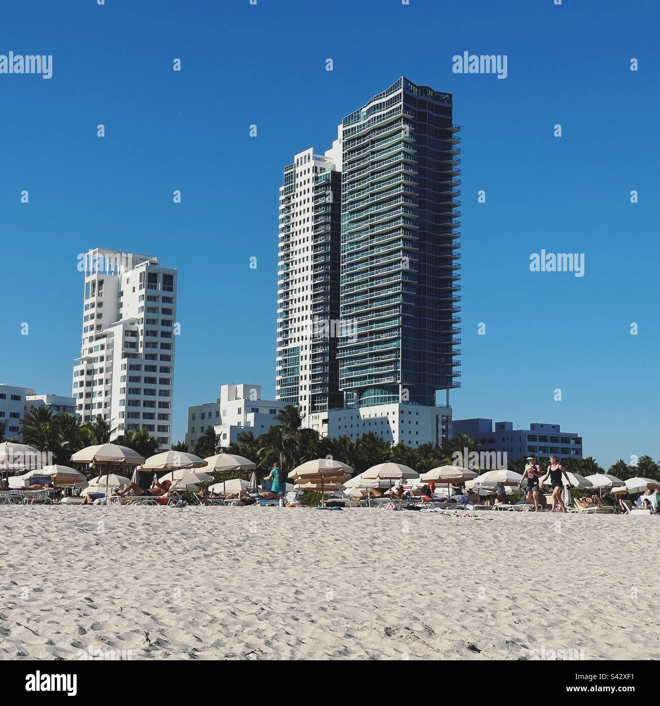 Sulla spiaggia, guardando verso il Setai Hotel Miami, South Beach, Miami Beach, Florida, Stati Uniti Foto Stock