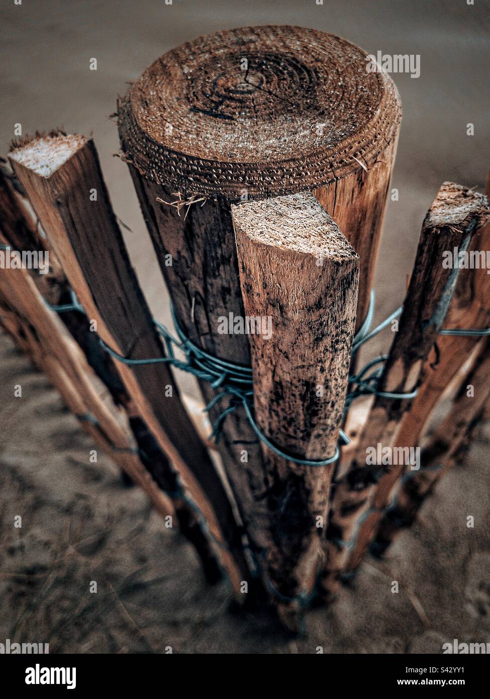 Palo di legno su una recinzione di spiaggia - Immagine stock catturata con smartphone