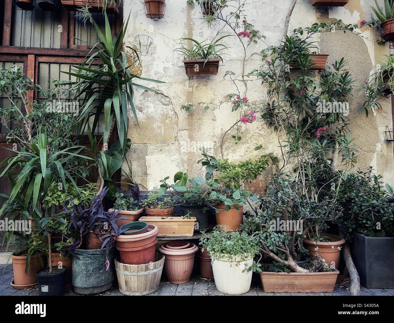 Urban Gardening città vecchia di Barcellona Foto Stock