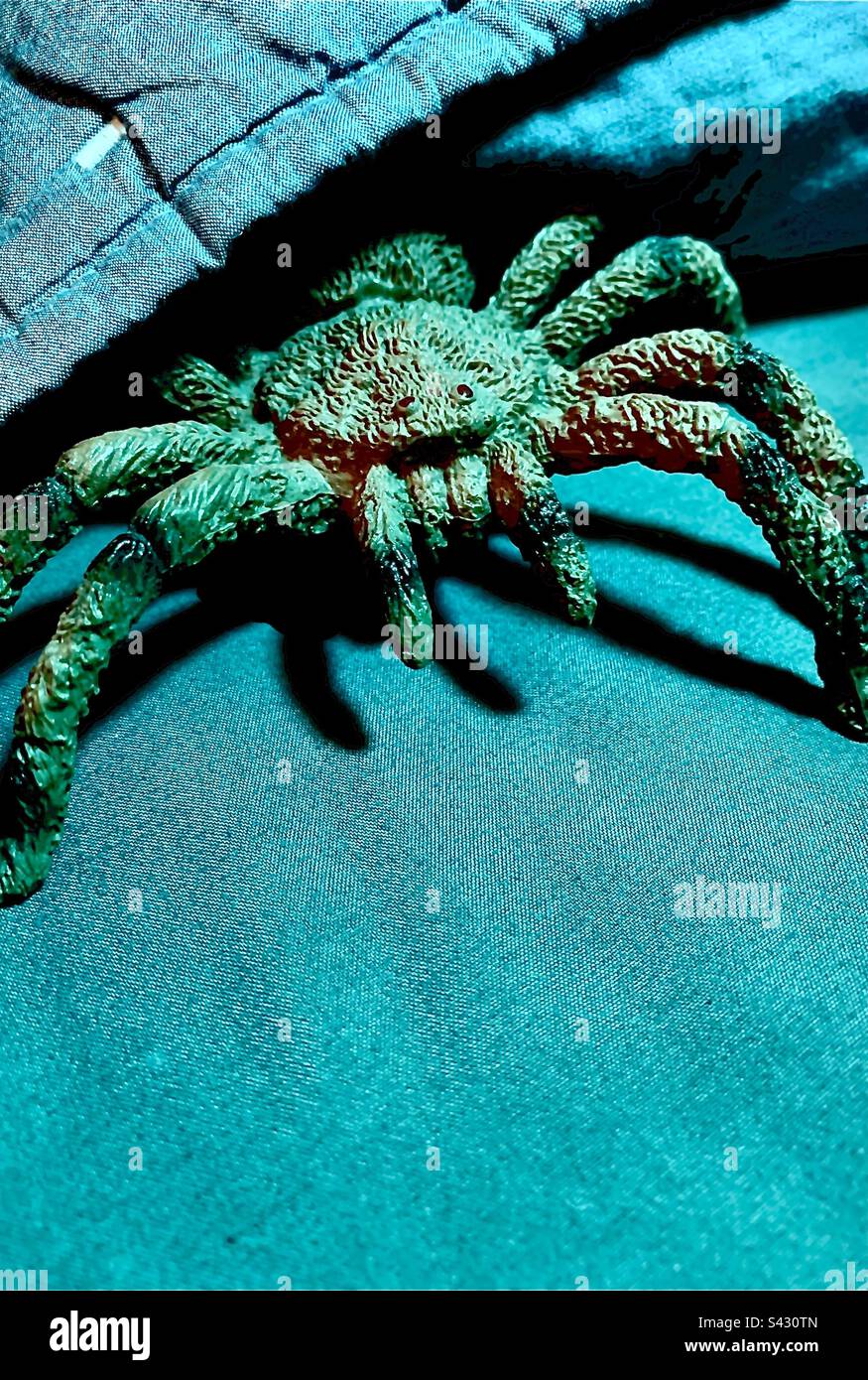 Tarantola con tinta blu che striscia da sotto il cuscino sul materasso del letto, include spazio copia - Immagine stock catturata con smartphone