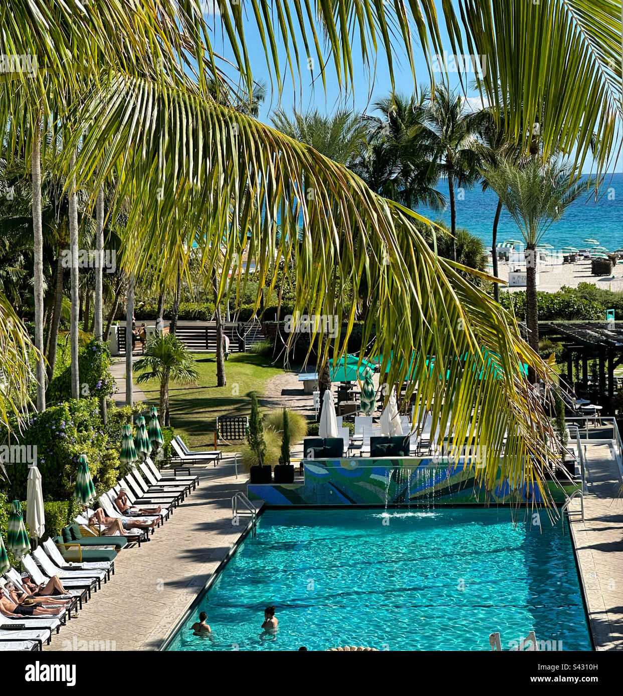 Piscina, Kimpton Surfcomber Hotel, South Beach, Miami Beach, Florida, Stati Uniti Foto Stock