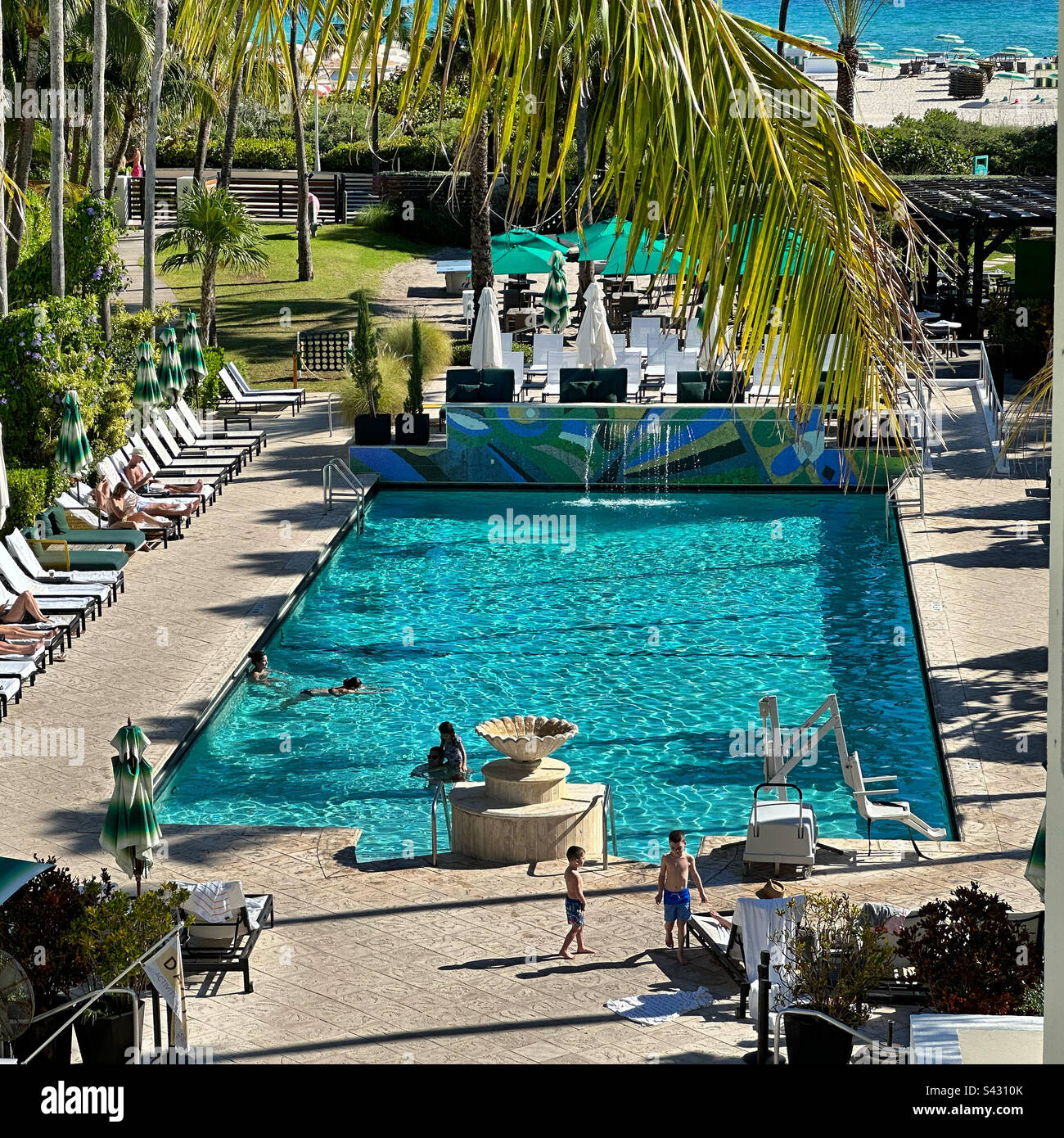 Piscina, Kimpton Surfcomber Hotel, South Beach, Miami Beach, Florida, Stati Uniti Foto Stock