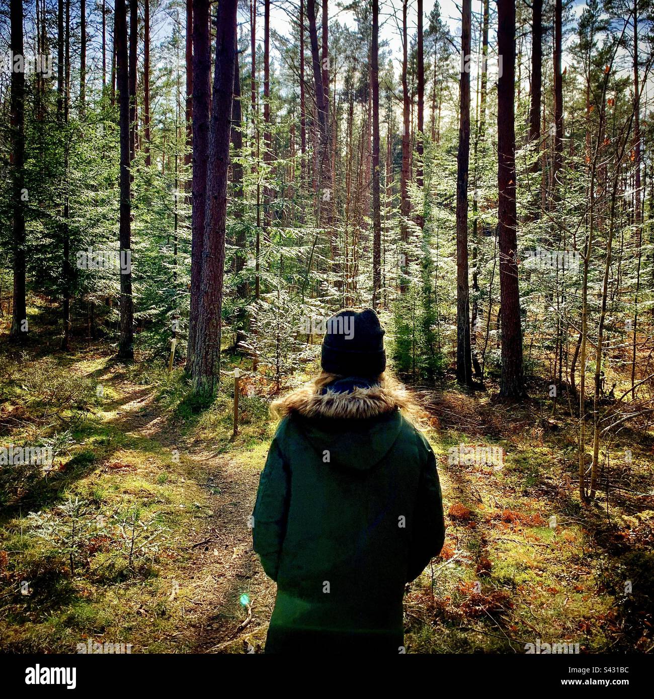 Giovane ragazza adolescente che cammina in una fitta foresta nordica in bella luce del sole Foto Stock