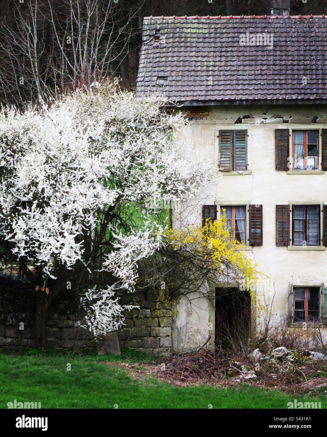 Vecchia casa e fiori Foto Stock