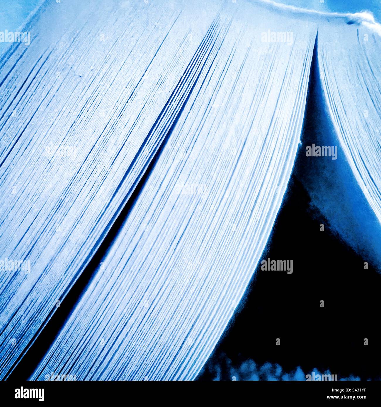 Libro cartaceo aperto sul letto Foto Stock