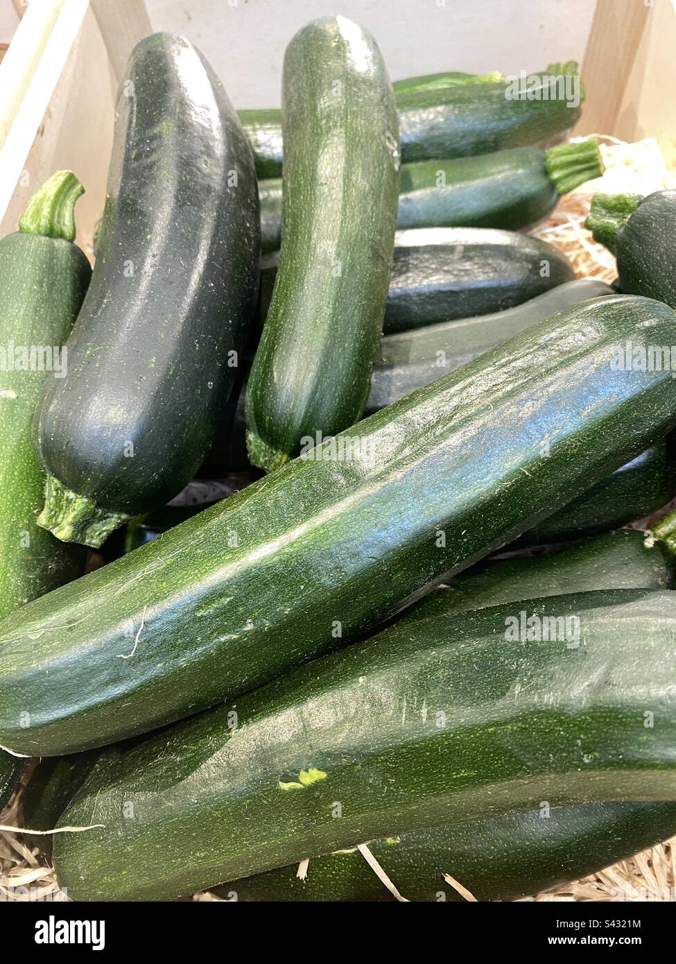 Scatola di zucchine Foto Stock