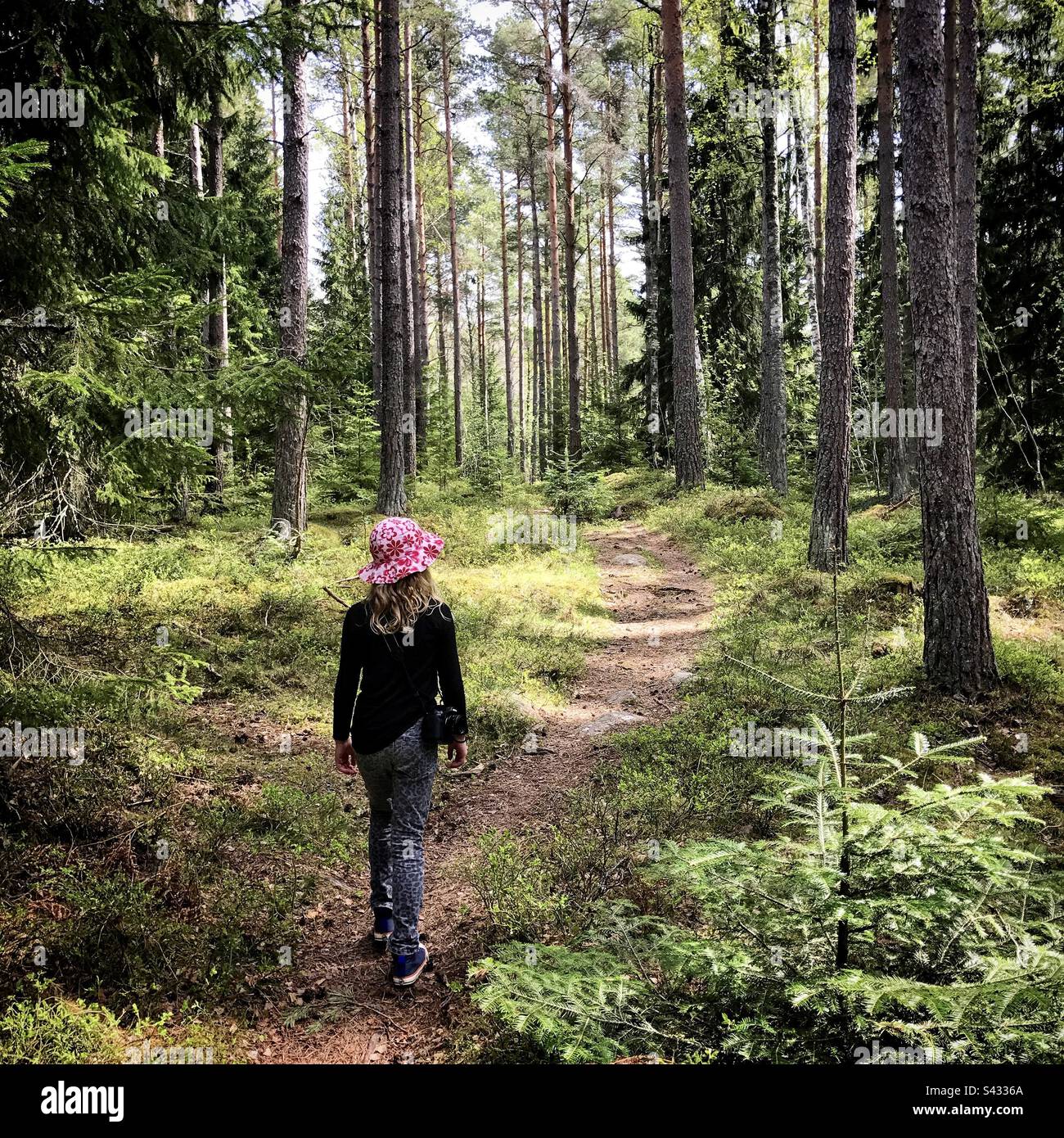 Giovane ragazza di 8 anni che cammina in una fitta foresta nordica in una bella luce solare primaverile in un cappello rosa floppy con una fotocamera digitale Nikon Foto Stock