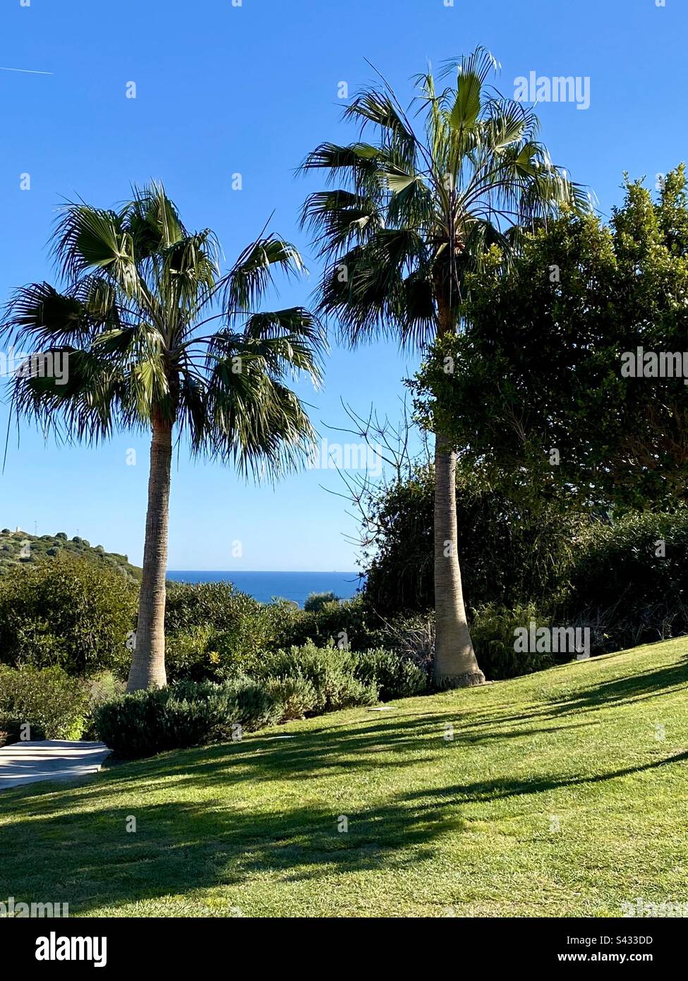 Il Mar Mediterraneo visto tra due palme in un giardino nel sud della Spagna Foto Stock