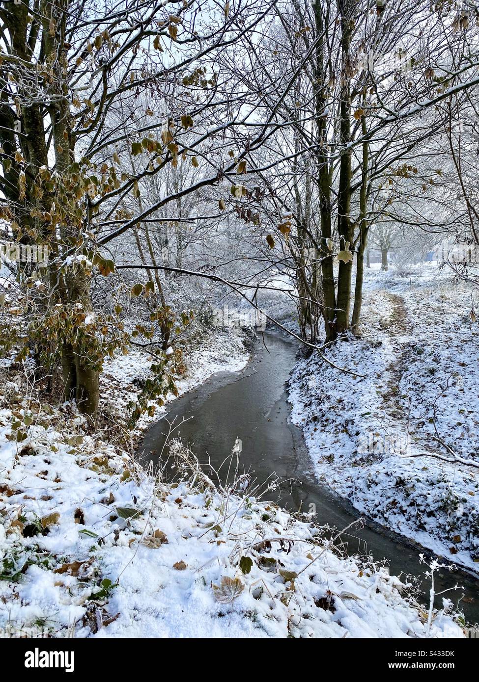 Una scena invernale innevata in Inghilterra con un fiume che scorre tra gli alberi Foto Stock