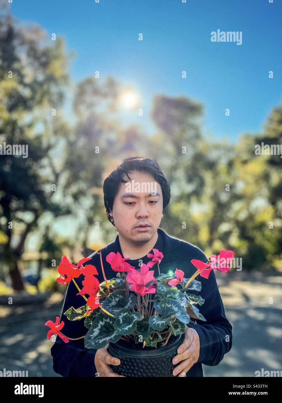 Giovane asiatico che tiene rosso ciclamino fiorito vaso pianta contro gli alberi e cielo blu. - Immagine stock catturata con smartphone