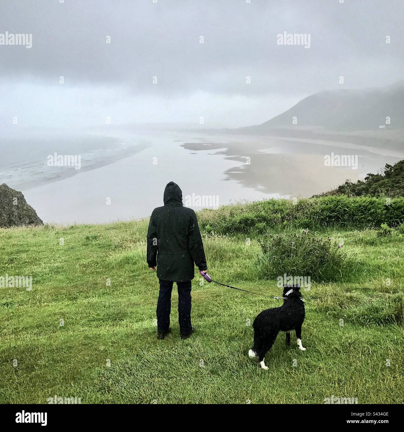Un camminatore con un cane sulla splendida Gower Coast Path si affaccia sulla splendida spiaggia di Rhossili sulla Gower Coast del Galles occidentale in una tempesta di pioggia estiva Foto Stock