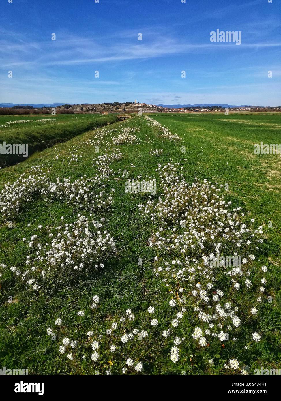 Paesaggio dello stagno secco e il villaggio di Montady. Occitanie, Francia - Immagine stock catturata con smartphone