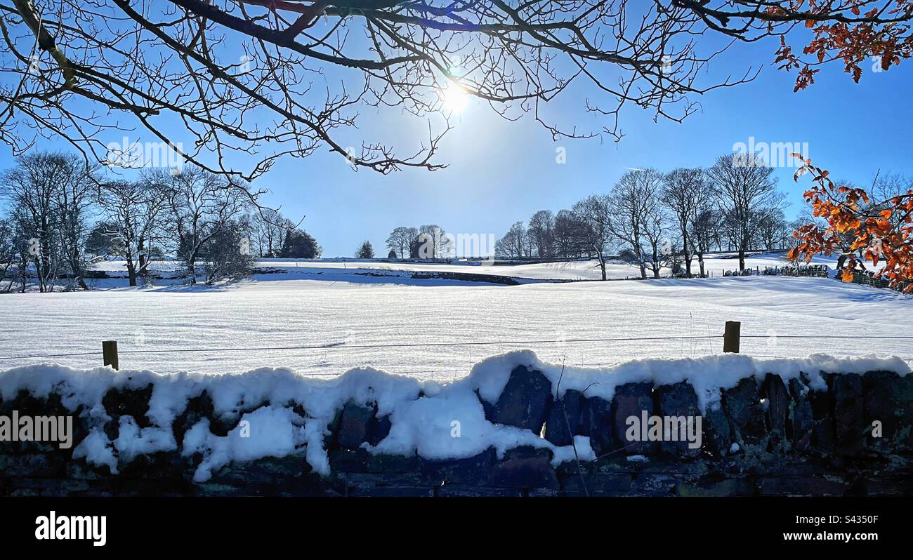 “Campi di neve” un campo agricolo immerso nella luce solare invernale dopo una notte di neve pesante. Foto Stock