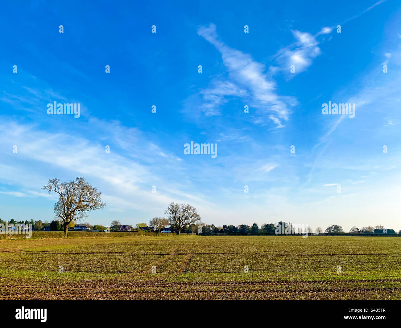 Cielo blu su un campo nel South Staffordshire, Regno Unito - Immagine stock catturata con smartphone