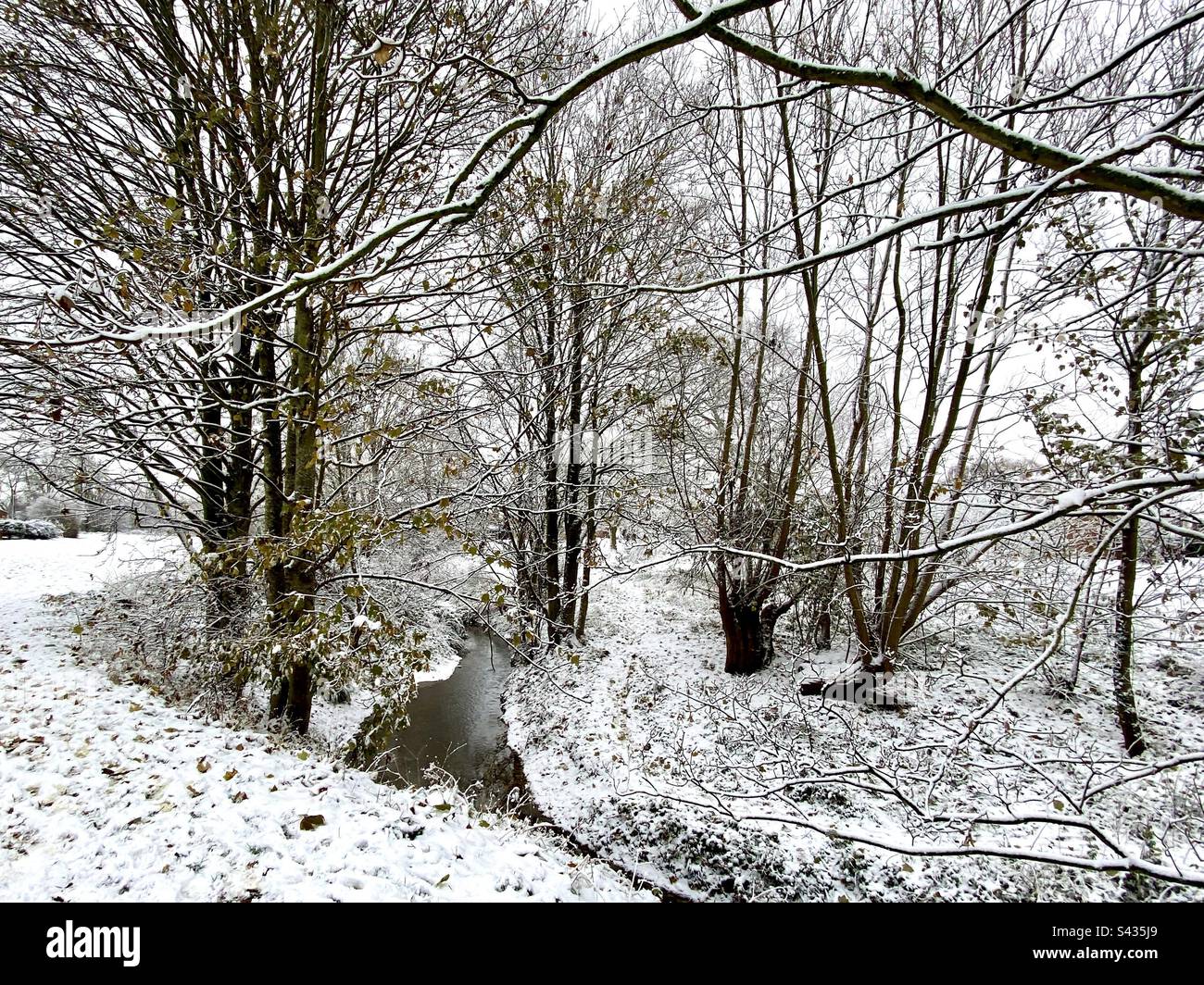 Neve scena in inverno Foto Stock