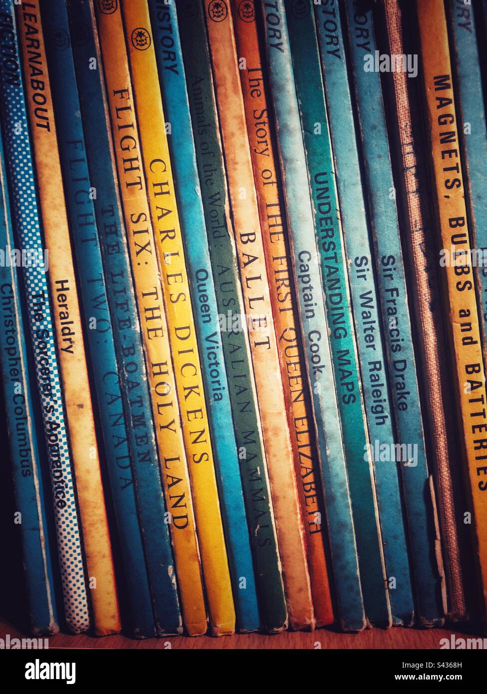 Hey full frame letteratura background di una fila di vecchi libri di storia con titoli come Charles Dickens e così Walter Raleigh con spazio di copia Foto Stock