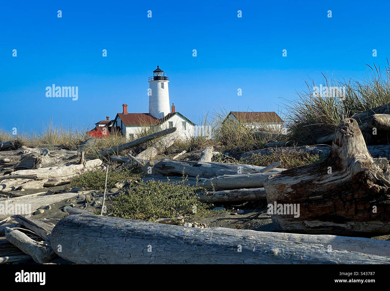 Faro di Dungeness Spit sulla spiaggia dello stato di Washington Foto Stock