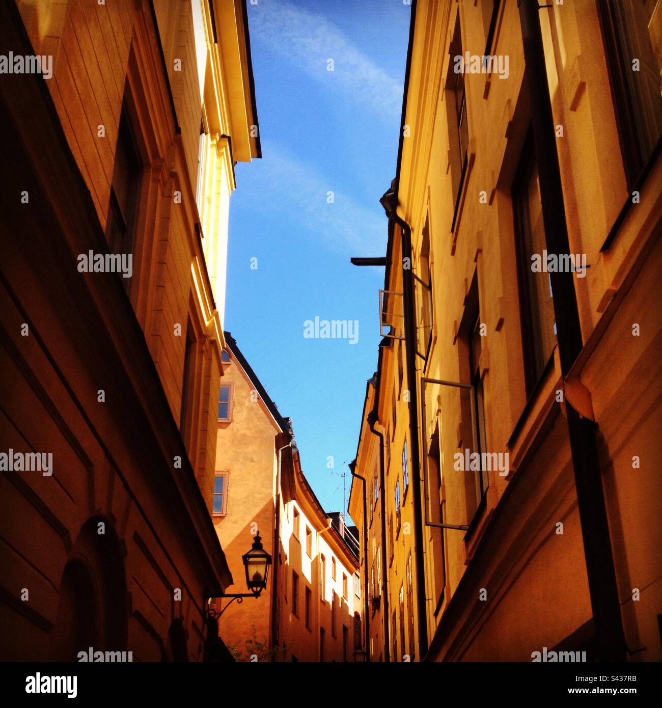 Gli esterni degli edifici tradizionali, dipinti in giallo e arancione, si affacciano sulle strette strade della città vecchia di Stoccolma, Gamla Stan, in Svezia Foto Stock