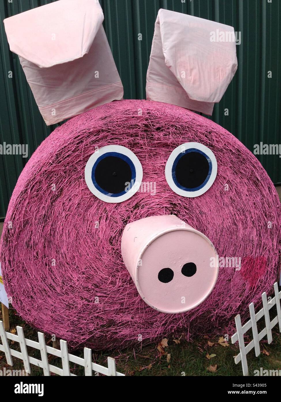 Maiale rosa di fieno e dipinto. Recinzione per picket bianca di fronte. Creato e mostrato alla Durham Fair di Durham, Connecticut. - Immagine stock catturata con smartphone