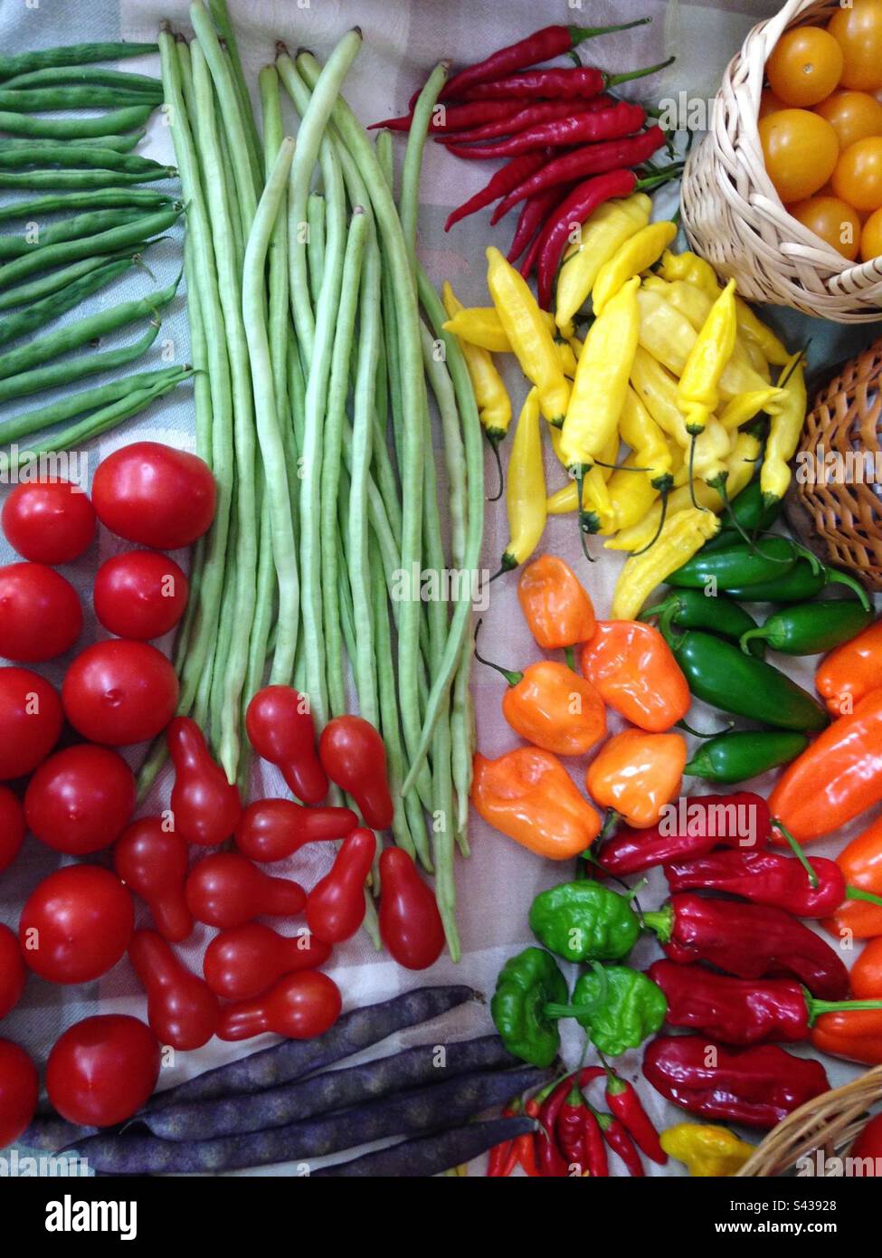 Tavola di verdure fresche da giardino, compresi fagiolini, pomodori e diversi tipi di peperoni. Alcuni cestelli sul lato destro, bordi d'angolo. - Immagine stock catturata con smartphone