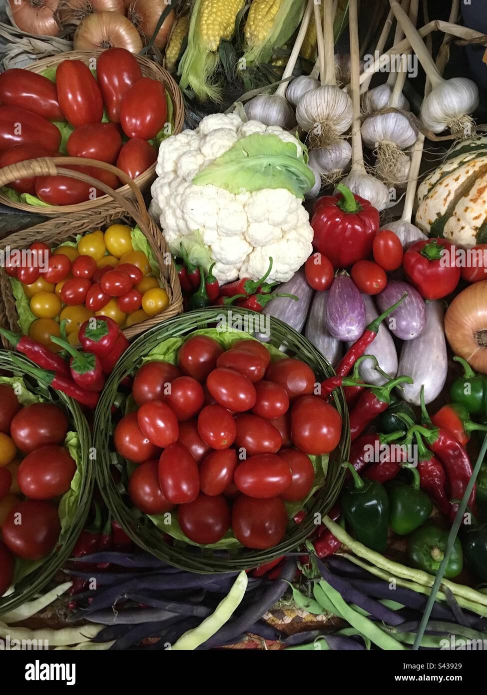 Bella mostra di ortaggi da giardino, con mais, peperoni, pomodori, cavolfiore, aglio, fagioli, peperoni, melanzane in cesti diversi. Tema raccolto. Foto Stock