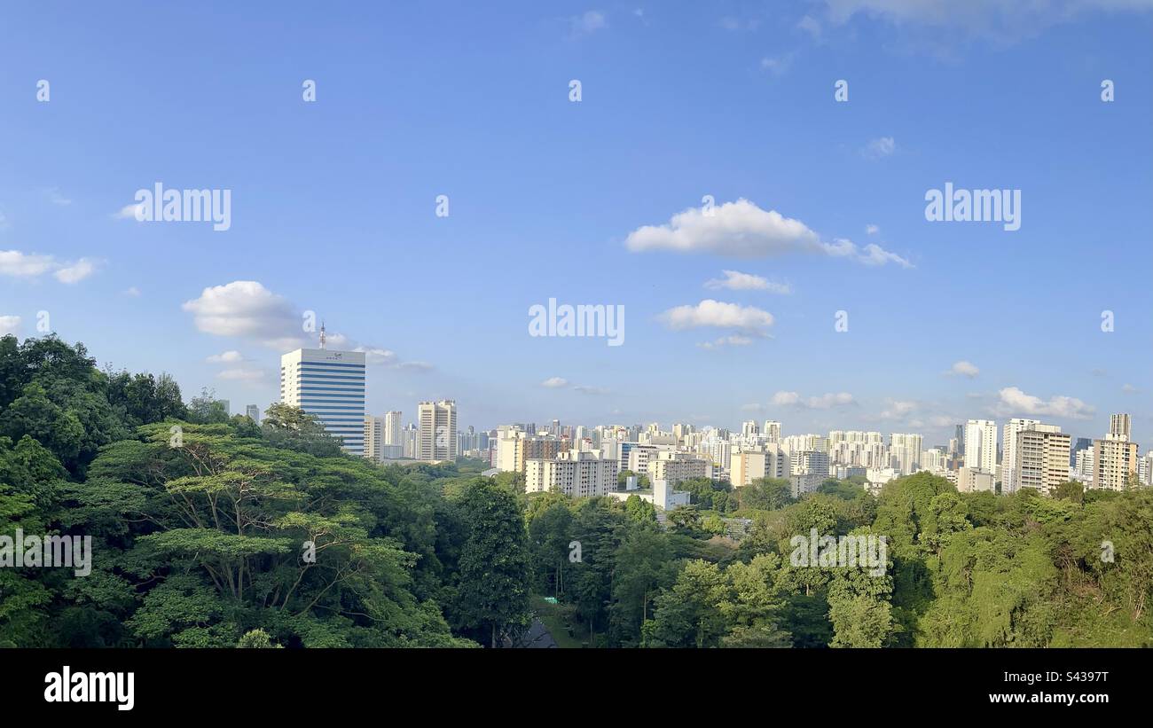 Vista panaromica del verde e degli edifici dall'Henderson Wave Bridge di Singapore Foto Stock