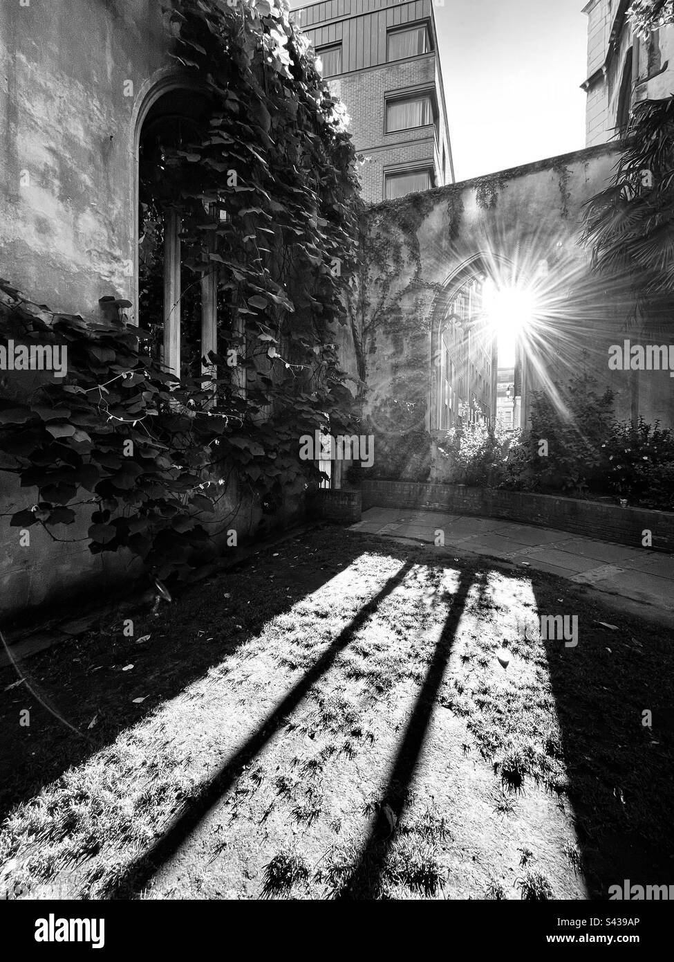 Sole che si sbatte attraverso il cortile deserito di Londra Foto Stock