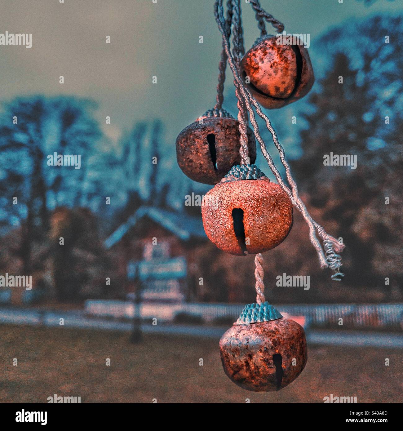 Piccole campane ornamentali appese ad un albero nel parco Singleton Swansea, Galles del Sud. Con un cottage di tipo svizzero sullo sfondo. - Immagine stock catturata con smartphone