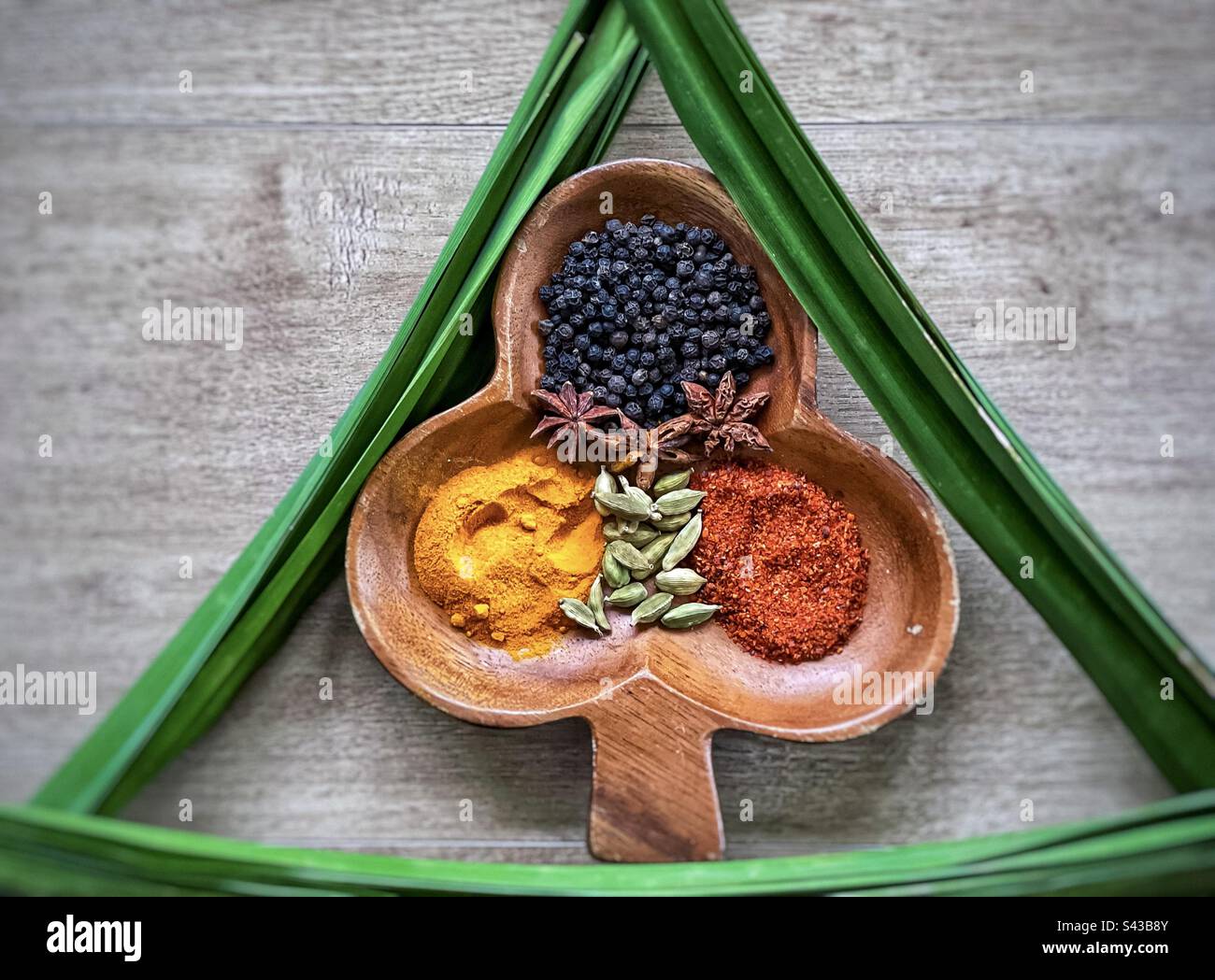 Direttamente sopra la vista di spezie colorate disposte in un contenitore decorativo di legno incorniciato da foglie di pandano anche noto come pandan o foglie di pino a vite su legno. - Immagine stock catturata con smartphone