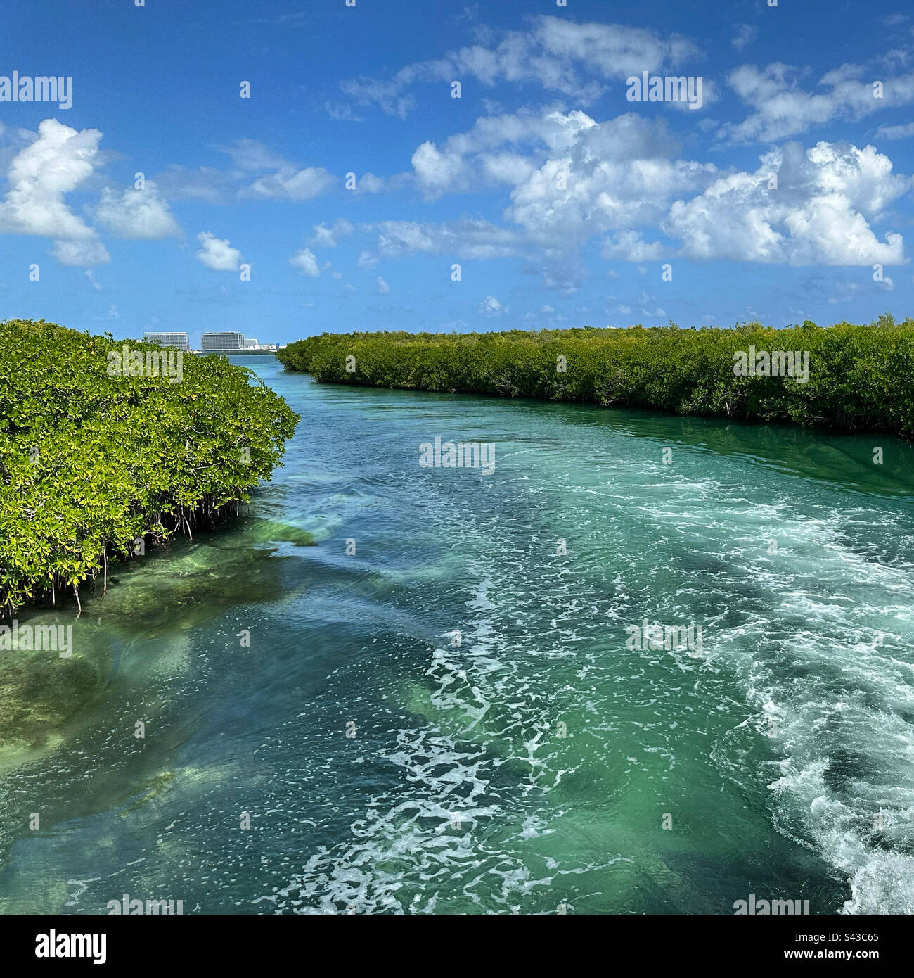 Vista da una barca a Nichupte Lagoon, Cancun, Quintana Roo, Messico Foto Stock