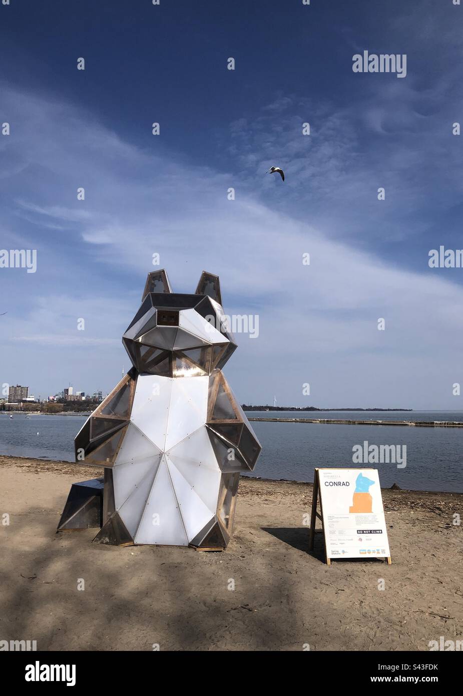 Una struttura d'arte raccoon sulla spiaggia. - Immagine stock catturata con smartphone