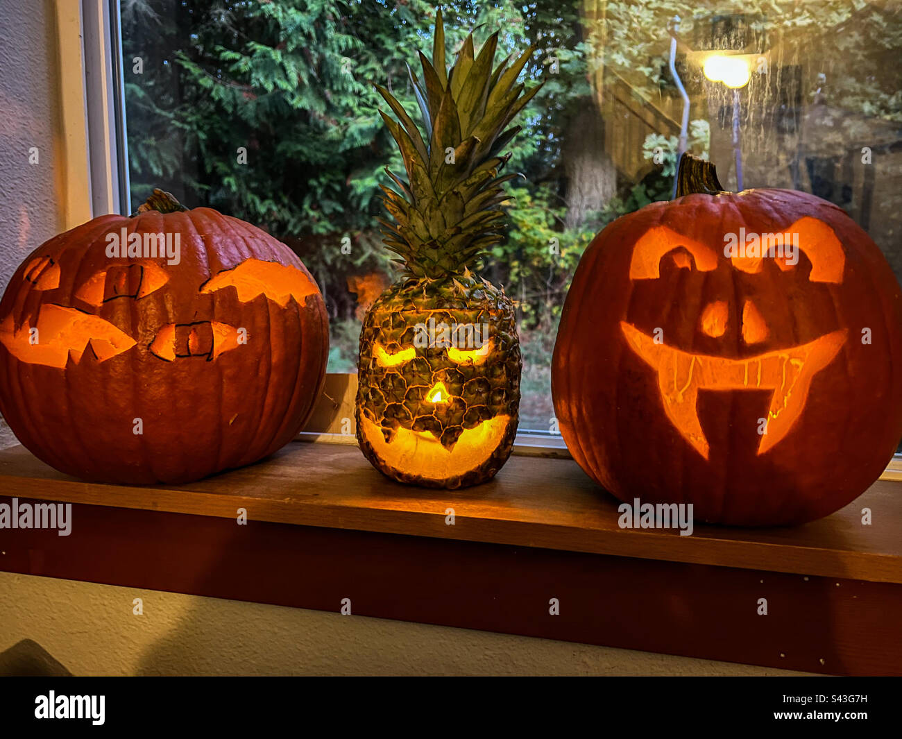 Pino-o-latern per Halloween Foto Stock