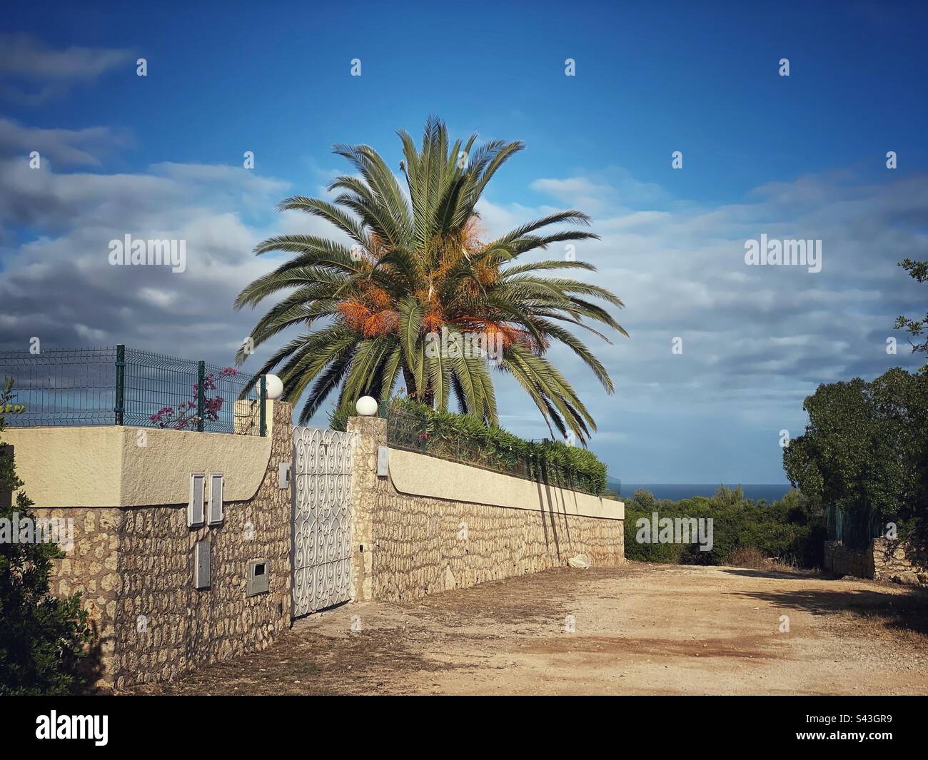 Strada sterrata intorno a una recinzione con una grande palma in Algarve, Portogallo. Foto Stock