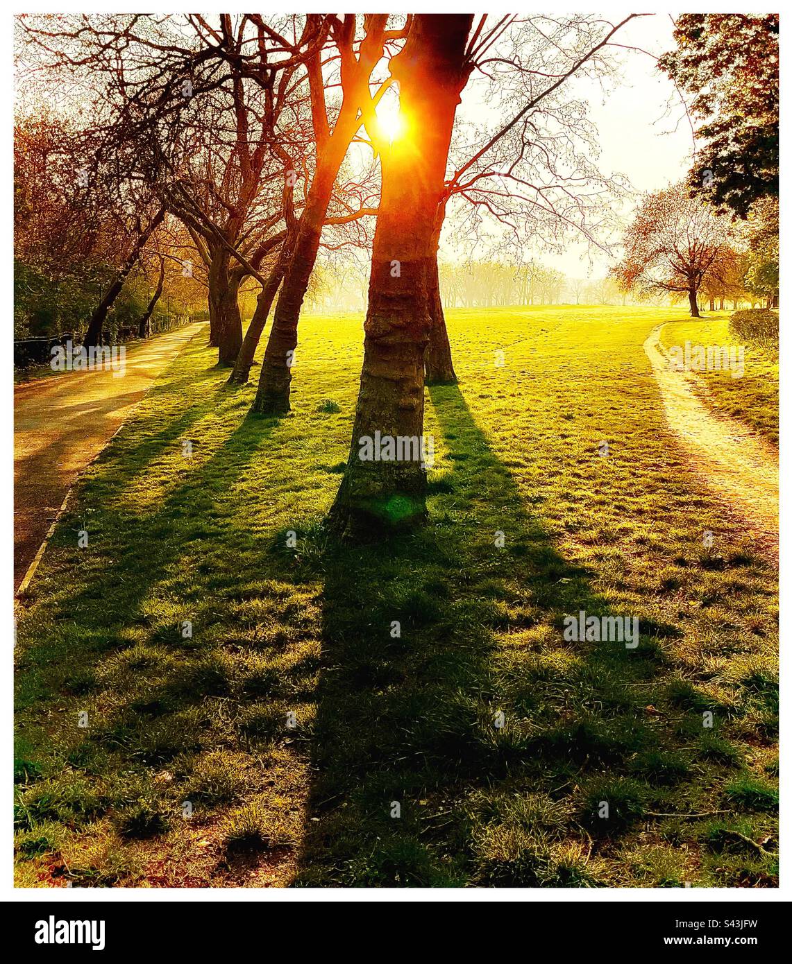 Peckham Rye Park al tramonto. Foto Stock